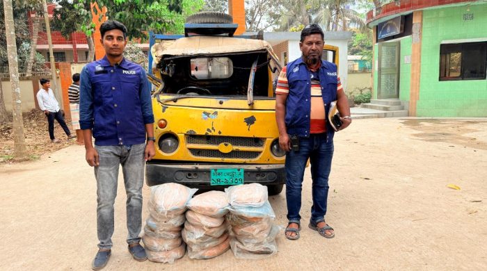 বাঞ্ছারামপুরে ২০ কেজি গাঁজাসহ পিকআপ জব্দ